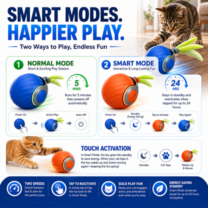 🐱🐾Smart Interactive Cat Ball – Beat Boredom, Burn Energy & Keep Your Cat Moving ⚡