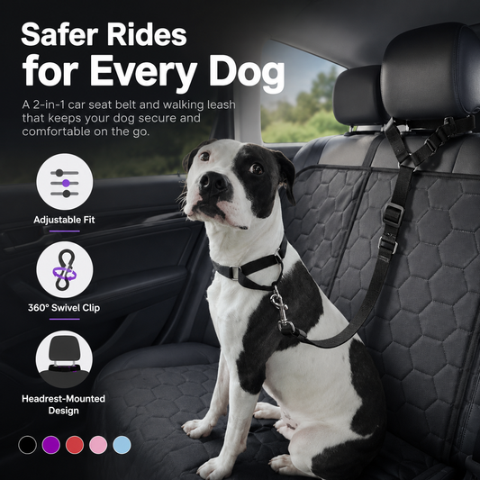 ❤️‍🔥New Hot Selling🔥Buy 2 Get 1 Free🔥 2-in-1 Dog Car Seat Belt & Walking Leash