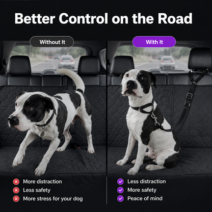 ❤️‍🔥New Hot Selling🔥Buy 2 Get 1 Free🔥 2-in-1 Dog Car Seat Belt & Walking Leash